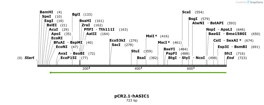 38967_map