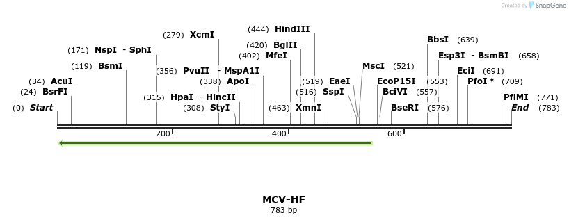 38970_map