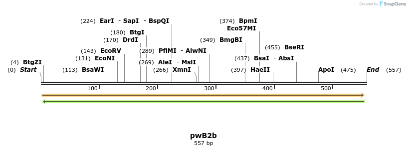 38971_map