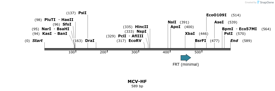 38972_map