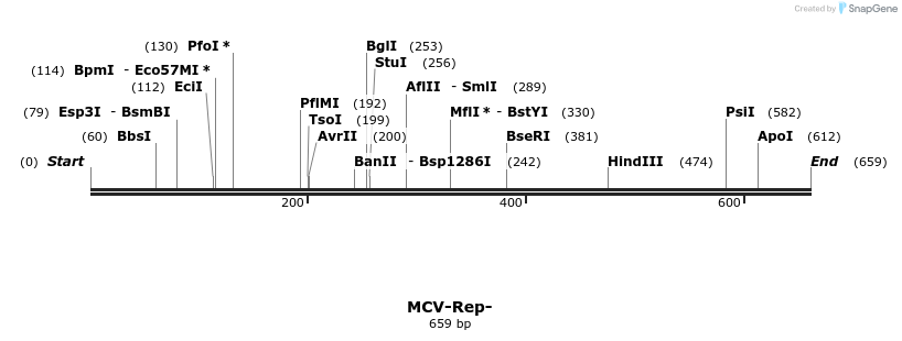 38974_map