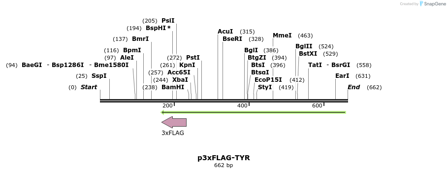 38975_map