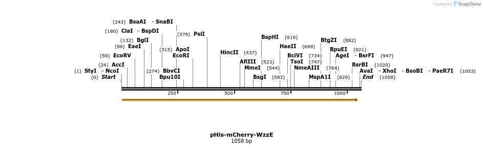 389778_map