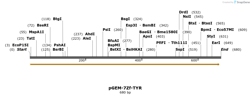 38978_map