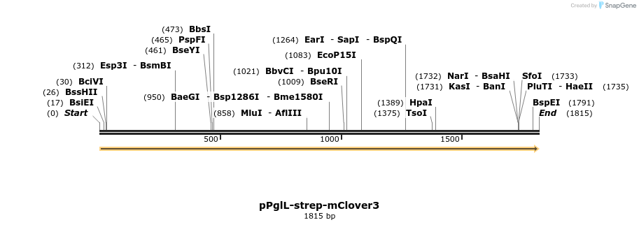 389781_map