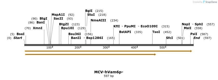 38979_map