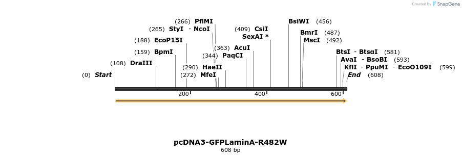 38980_map
