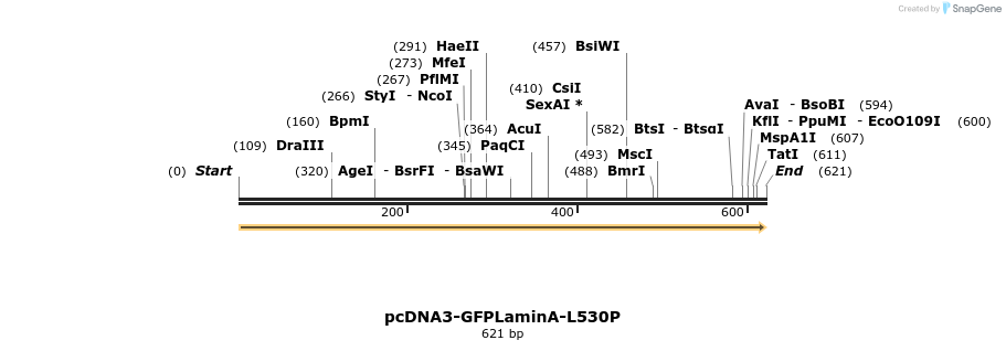38981_map