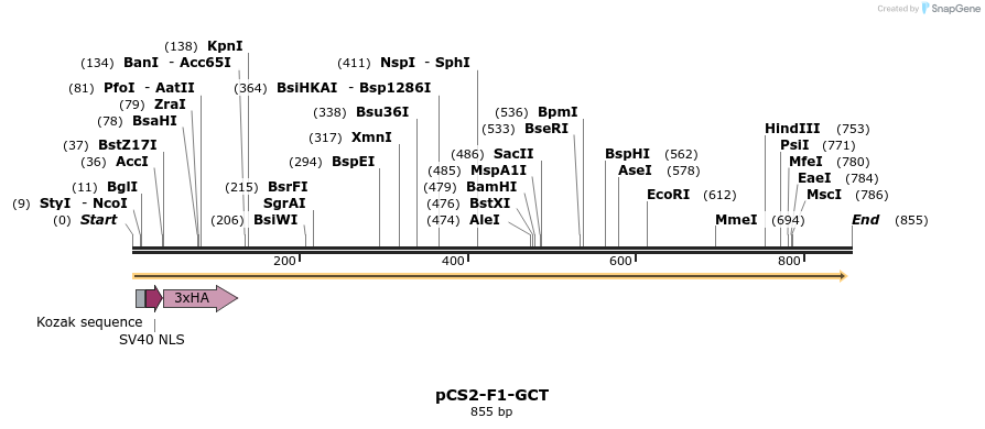 38986_map
