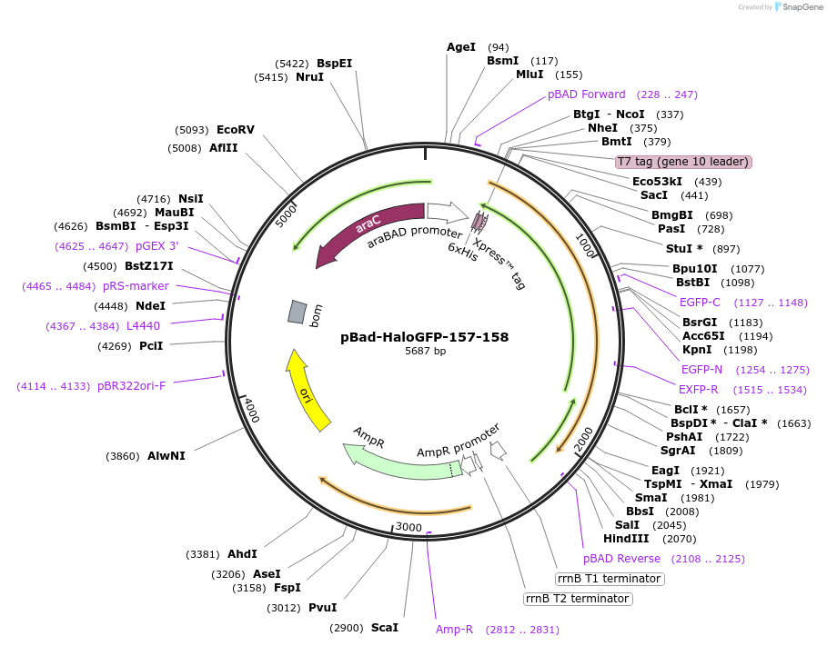 389862_map