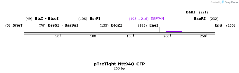 38994_map