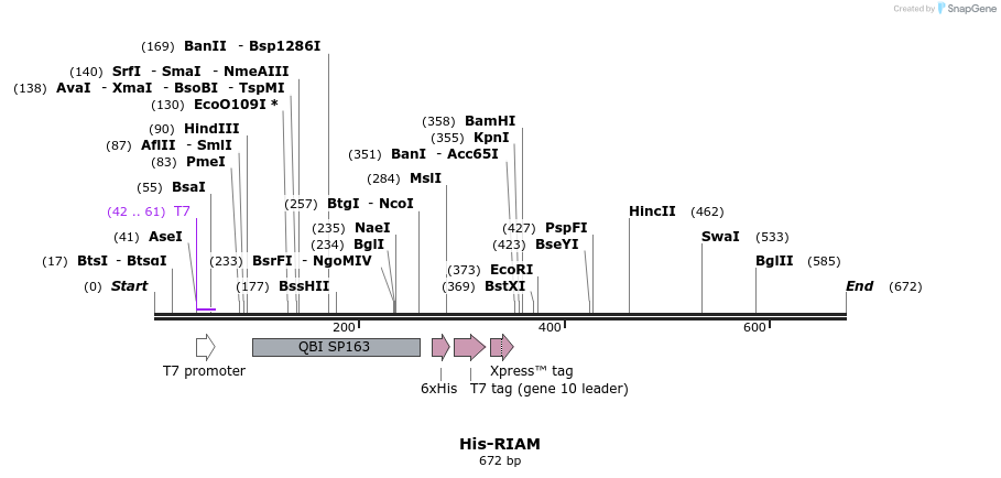 38995_map