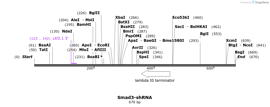 38997_map