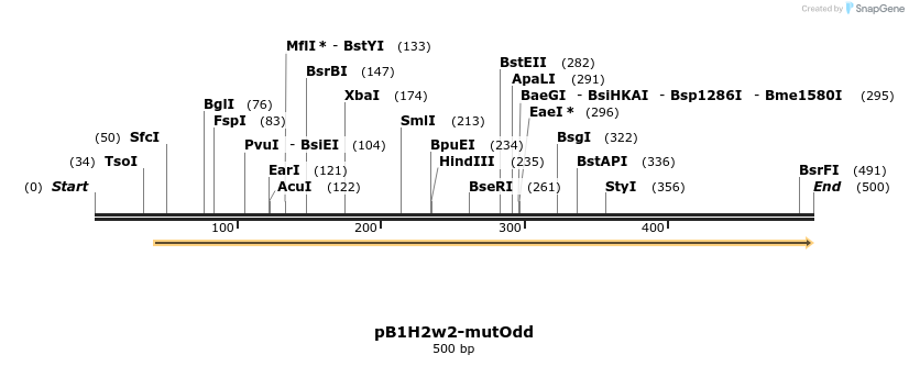 38998_map