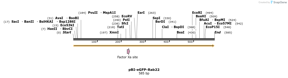 390007_map