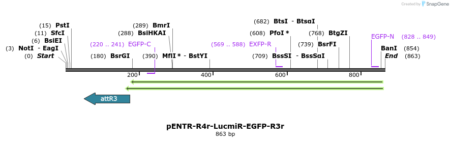 39001_map