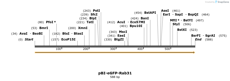390010_map