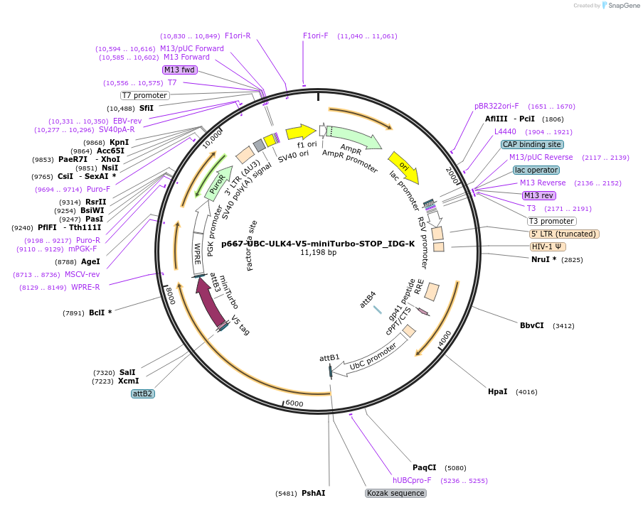 390021_map