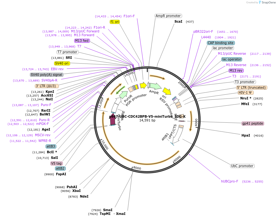 390038_map