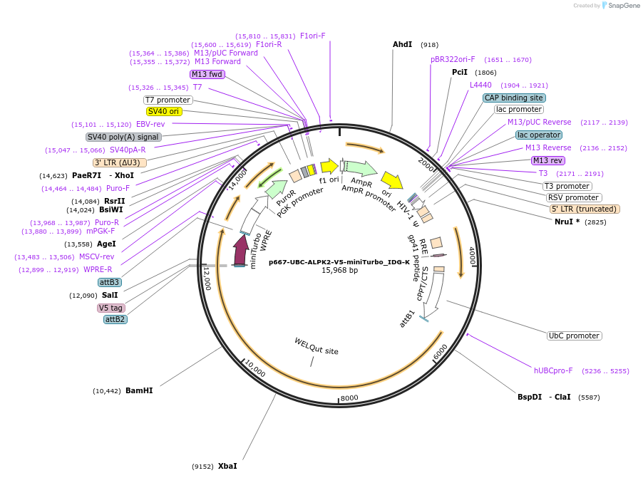 390040_map