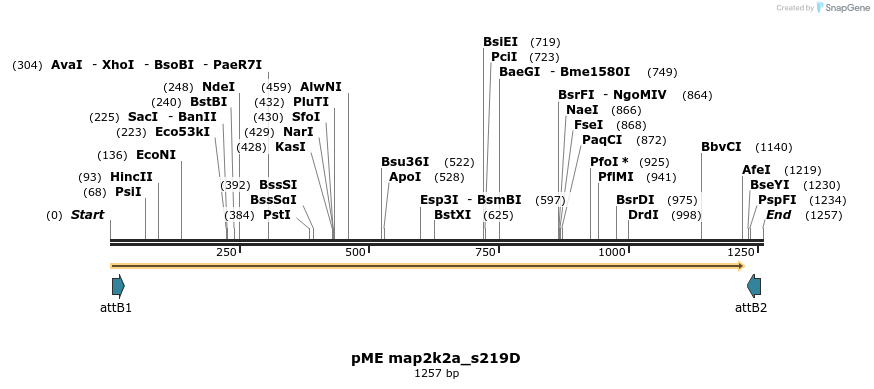 390060_map