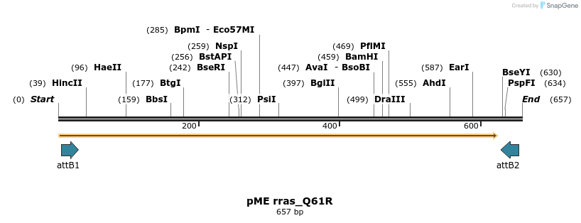 390061_map