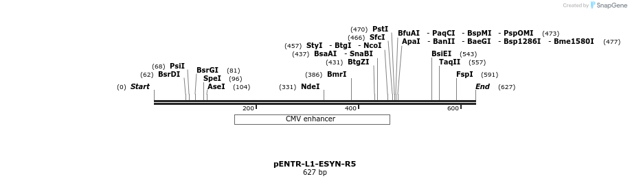 39010_map