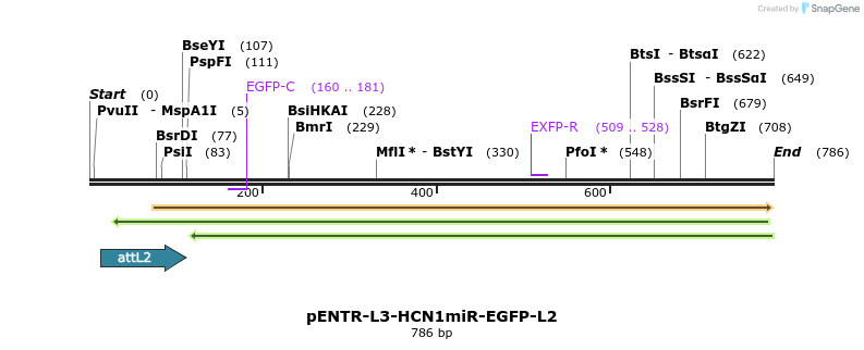 39011_map