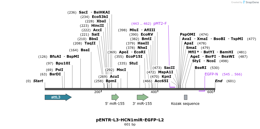 39012_map