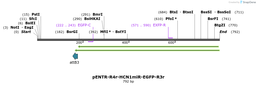 39013_map