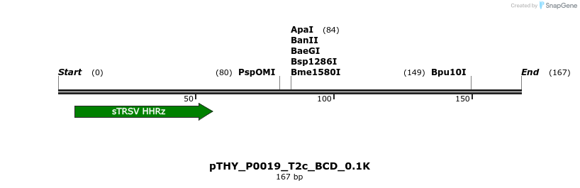 390139_map