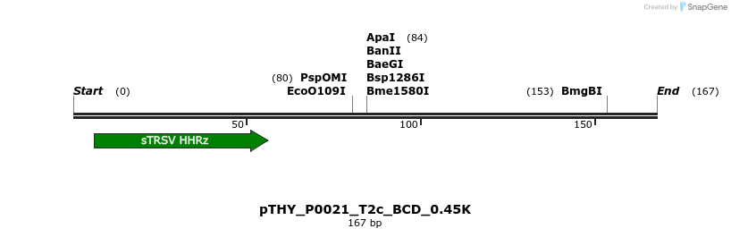 390144_map