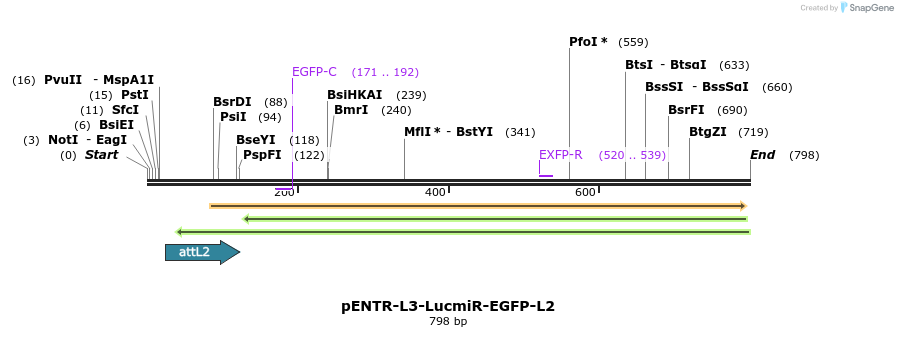 39016_map