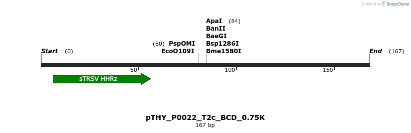 390167_map
