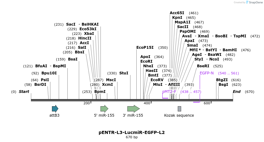 39017_map