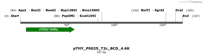 390171_map