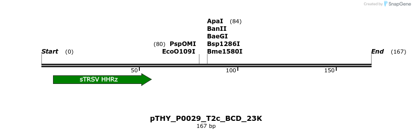 390179_map