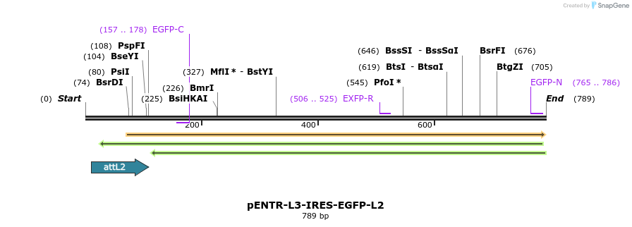 39019_map