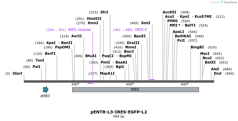 39021_map