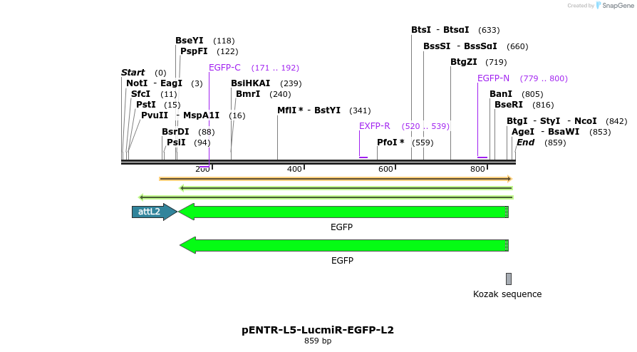 39023_map