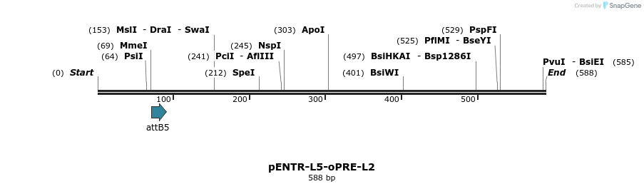 39027_map