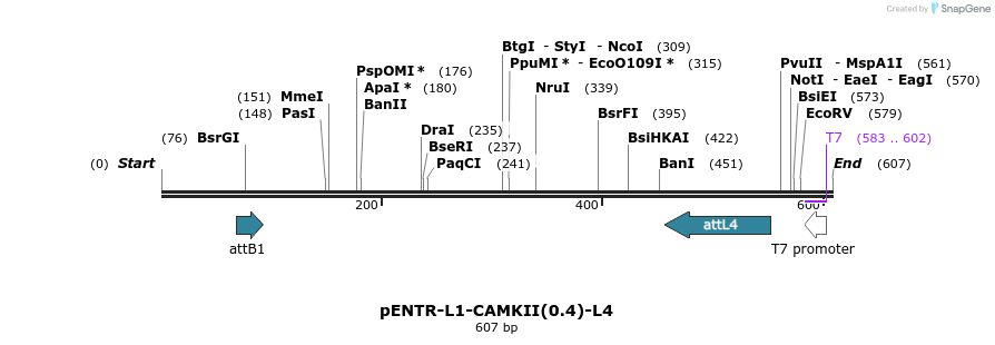 39028_map