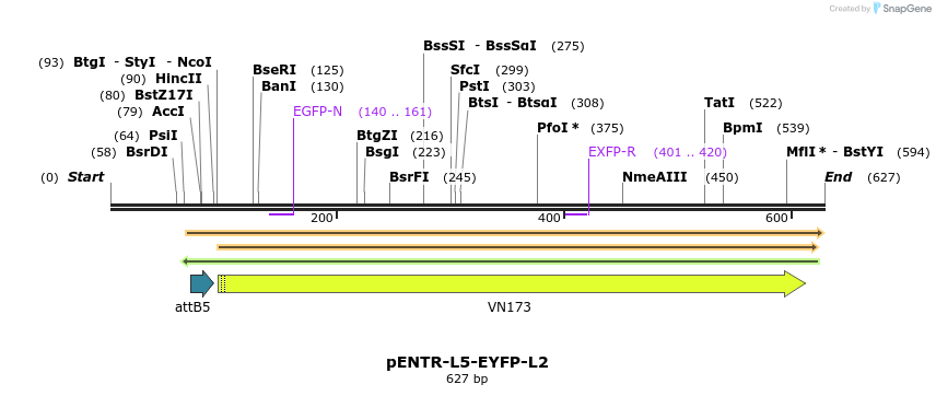 39029_map