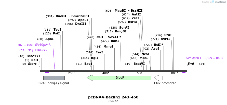 39033_map