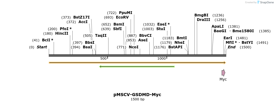 390339_map