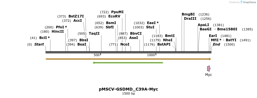 390340_map