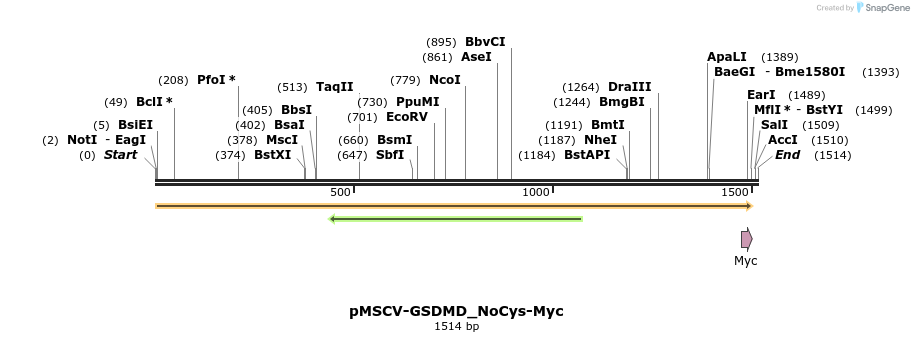390342_map