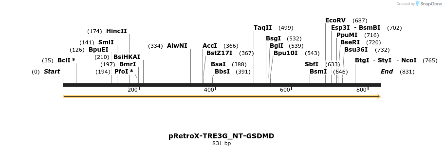 390344_map