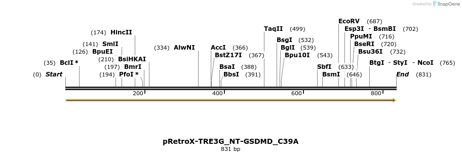390346_map