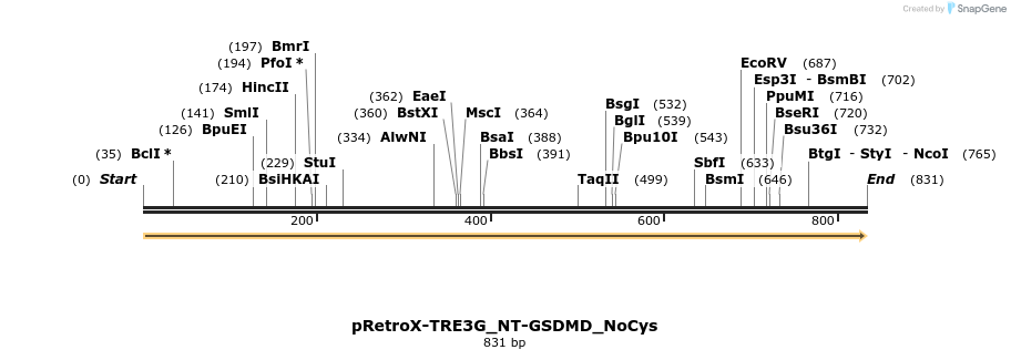390350_map